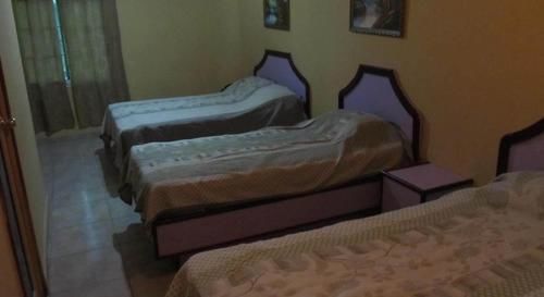פנמה סיטי Backpacker Inn מראה חיצוני תמונה